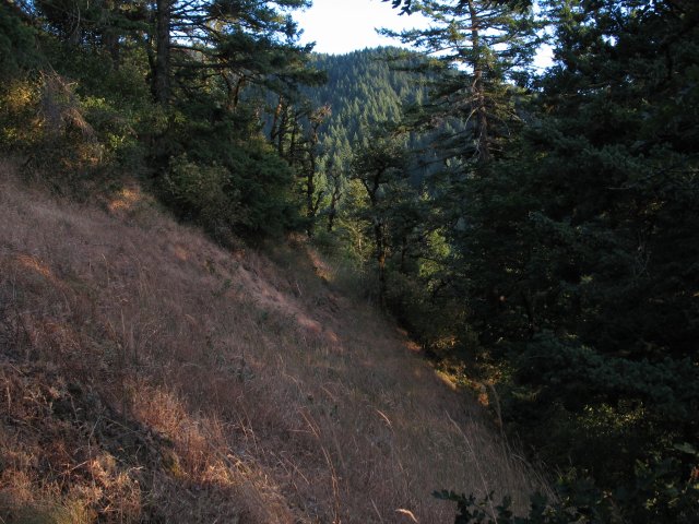 8.10.06 Rock of Ages Ridge 032 